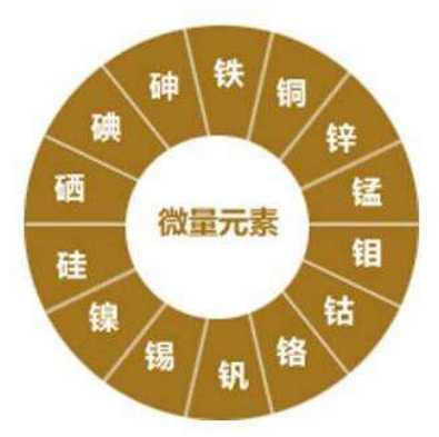 作物生長需要哪些養(yǎng)料？紅尾鳥農(nóng)業(yè)告訴你！