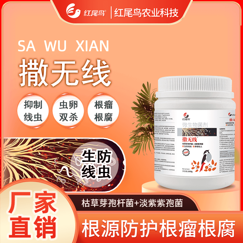 紅尾鳥撒無線 抑制線蟲 蟲卵通殺 根源防護(hù) 根瘤根腐 枯草芽孢桿菌+淡紫紫孢菌【掃描頁面下方二維碼可直接購買】