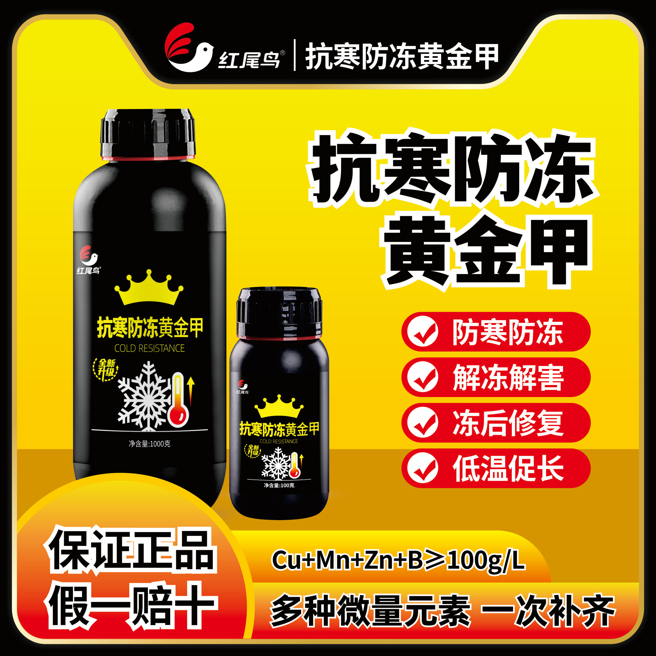 提前噴一噴，過冬更安全–紅尾鳥抗寒防凍黃金甲